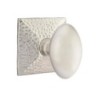 Emtek Hammered Egg Knob with Hammered Rosette