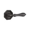 Emtek Octagon Lever with Style 15 Rosette